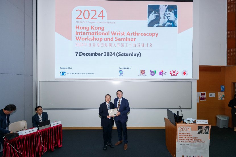 HK Wrist Course 2024- Seminar  - 140 of 257
